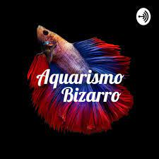 Aquarismo Bizzaro